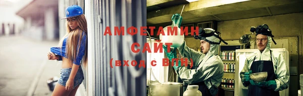 молекула духа Алзамай