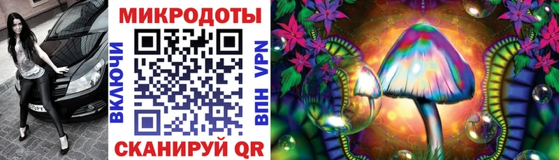 Псилоцибиновые грибы Psilocybe  Лысьва 